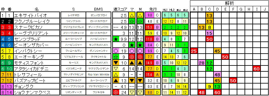 2025　ラジオNIKKEI賞　ラップ適性